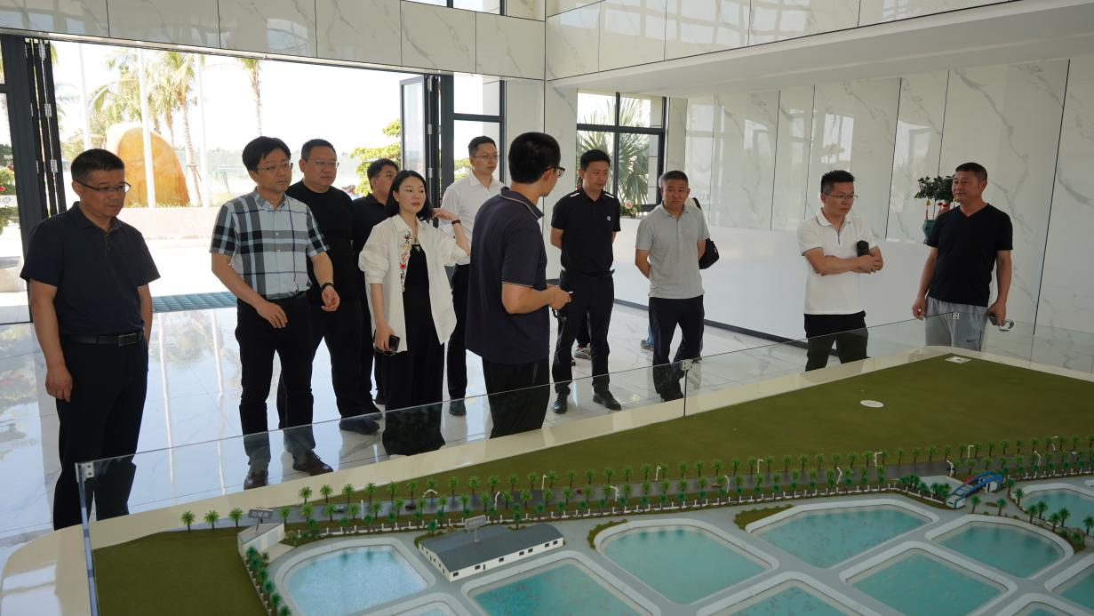 政企攜手探路水產科技——鏈接海南晨海共繪產業(yè)新篇